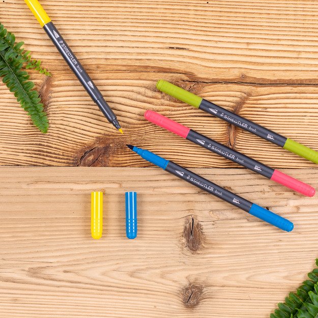 Flomasteriai STAEDTLER, dvipusiai, 18 vnt. 6