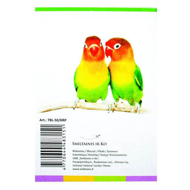 Bloknotas klijuotas viršuje SMLT, A6, 50 lapų, langeliais 2