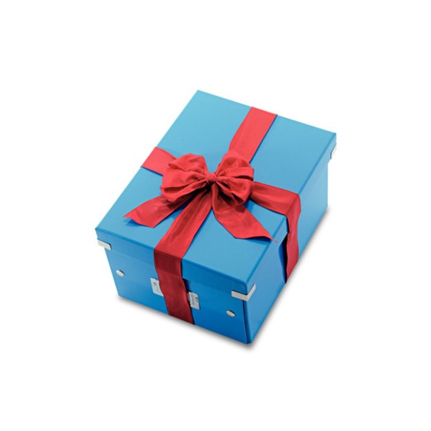 Archyvavimo dėžė LEITZ WOW, sudedama, A4, 200 x 281 x 370 mm, šviesiai mėlyna 4