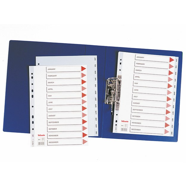Skiriamieji lapai ESSELTE, Jan-Dec , A4, PP 1