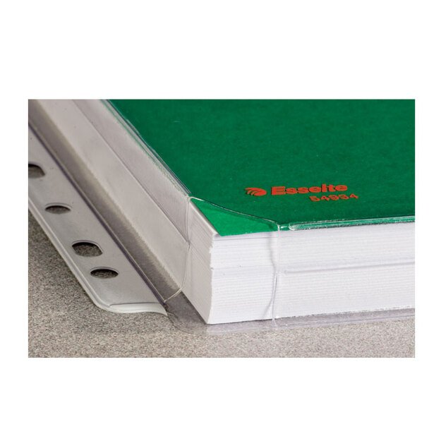 Įmautė dokumentams LEITZ, A4, su praplatėjimu, (pak. -10 vnt.), matinė 1