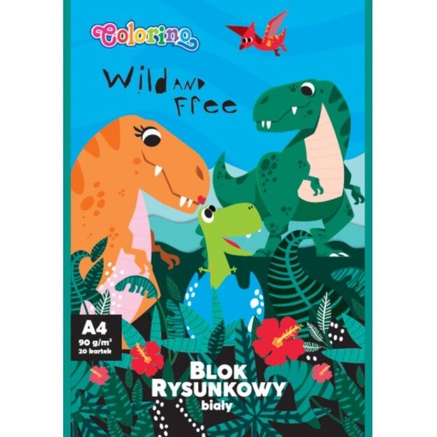 Rinkinys pradinukui Premium Colorino 6