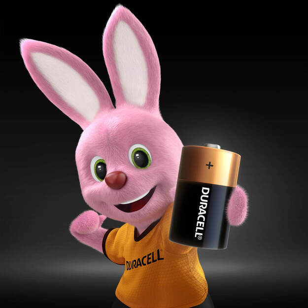 Baterijos DURACELL D, LR20, 2vnt 1
