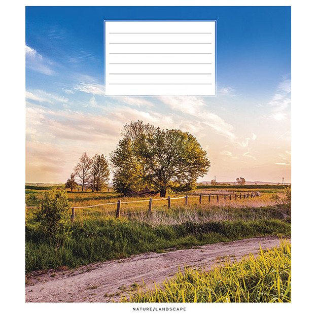 Sąsiuvinis Schoolboy, 18 lapų, langeliais, B5, 60 gsm 3