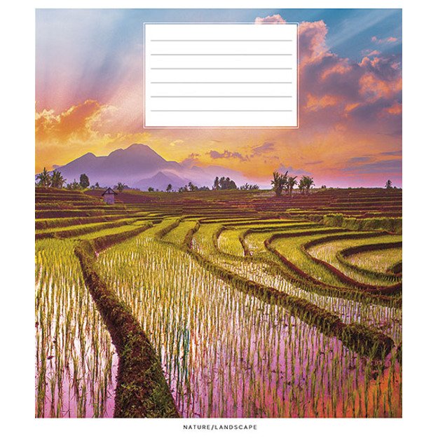 Sąsiuvinis Schoolboy, 18 lapų, langeliais, B5, 60 gsm 1