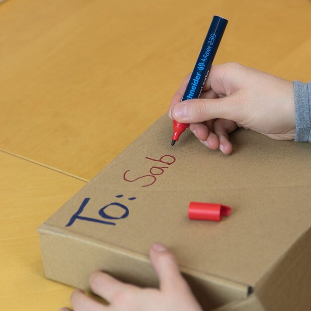 Permanentinis žymeklis SCHNEIDER MAXX 230, 5