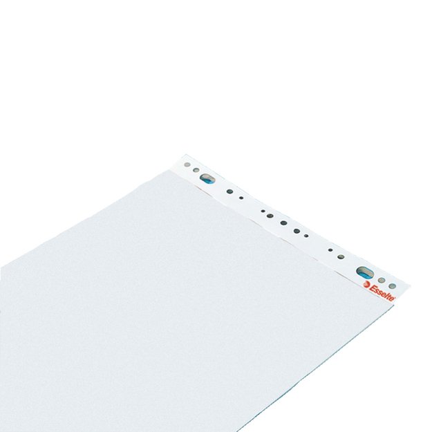 Konferencijų bloknotas ESSELTE, 590 x 830 mm, lygus, 50 lapų 1