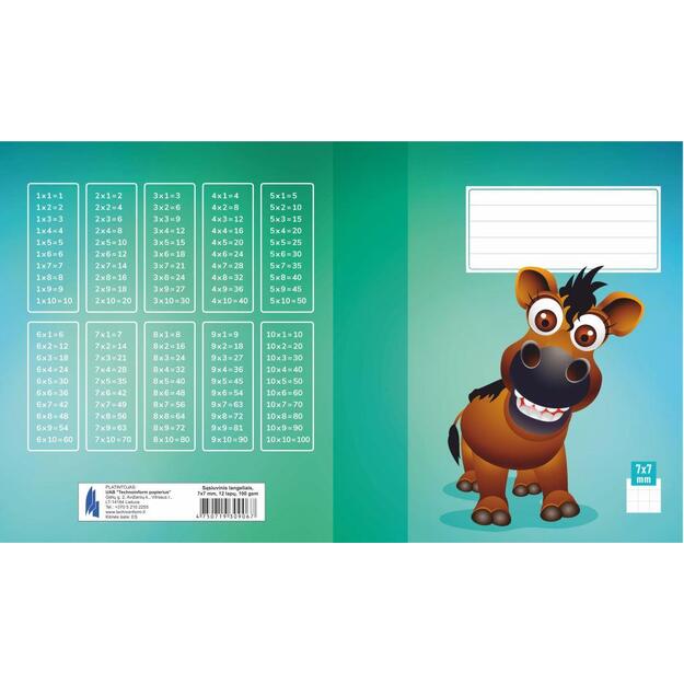 Sąsiuvinis 1 klasei, A5, langeliais, 12 lapų, 100gsm, kartoniniu viršeliu 4