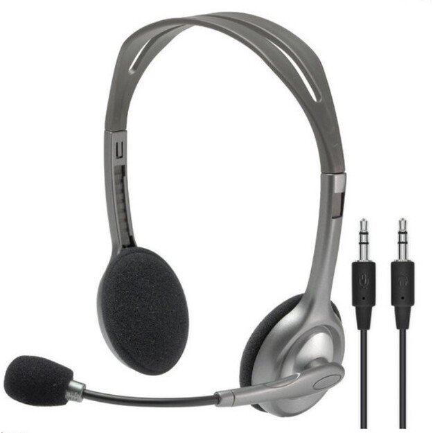 Ausinės su mikrofonu Logitech H110 1