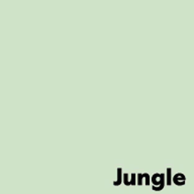 Spalvotas popierius IMAGE COLORACTION, A4, 80 gsm, 500 lapų, JUNGLE / PALE GREEN 1