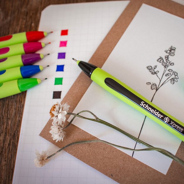 Rašiklis SCHNEIDER XPRESS, 0,8 mm 5