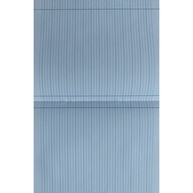 Sąsiuvinis TECHNOINFORM, 2 klasei, A5, 12 lapų, 70 gsm, linijomis 3