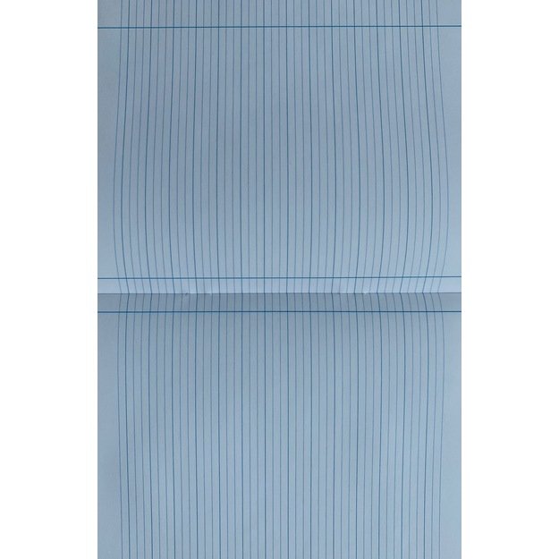 Sąsiuvinis TECHNOINFORM, 2 klasei, A5, 12 lapų, 70 gsm, linijomis 2