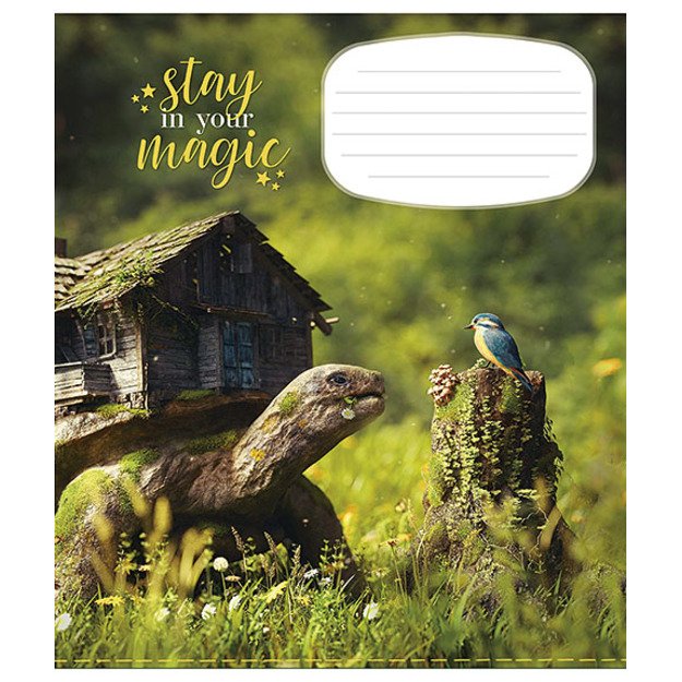 Sąsiuvinis Schoolboy, 18 lapų, linijomis, B5, 60 gsm 4