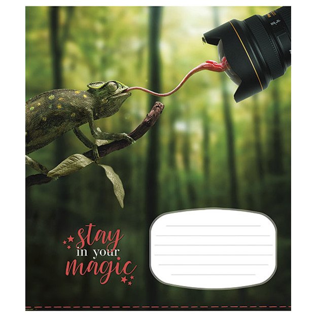 Sąsiuvinis Schoolboy, 18 lapų, linijomis, B5, 60 gsm 3