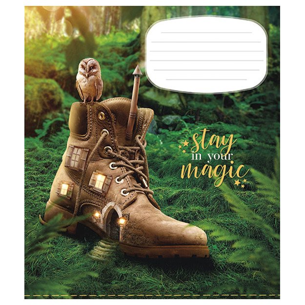 Sąsiuvinis Schoolboy, 18 lapų, linijomis, B5, 60 gsm 1