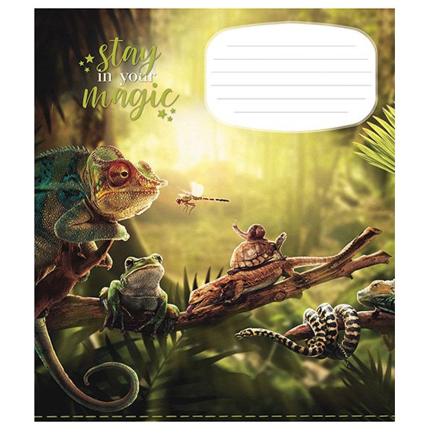 Sąsiuvinis Schoolboy, 18 lapų, linijomis, B5, 60 gsm 2