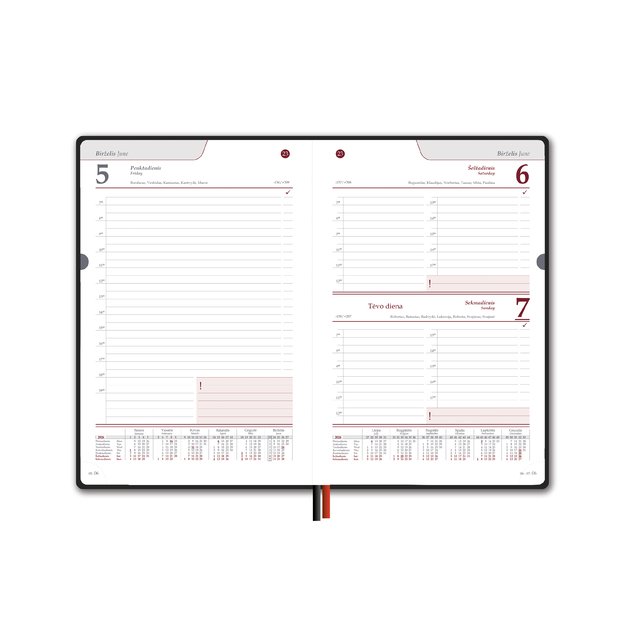 Kalendorius New STANDARD 2026, A5, juoda LT 1