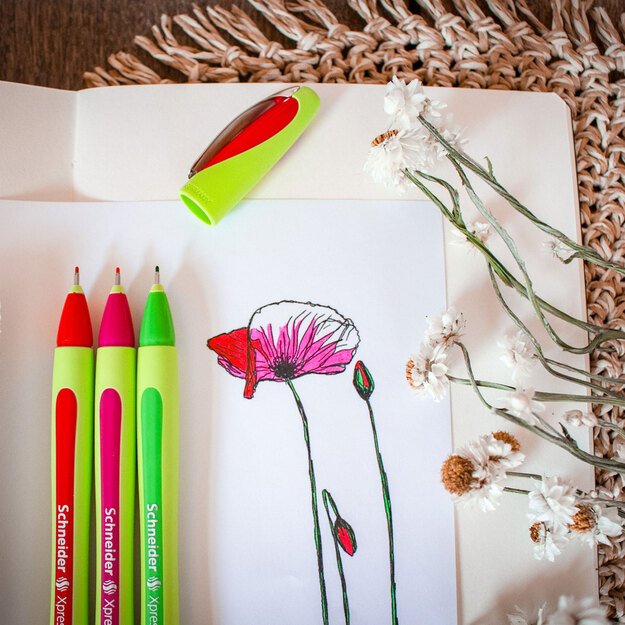 Rašiklis SCHNEIDER XPRESS, 0,8 mm, rašymo spal. mėlyna 5