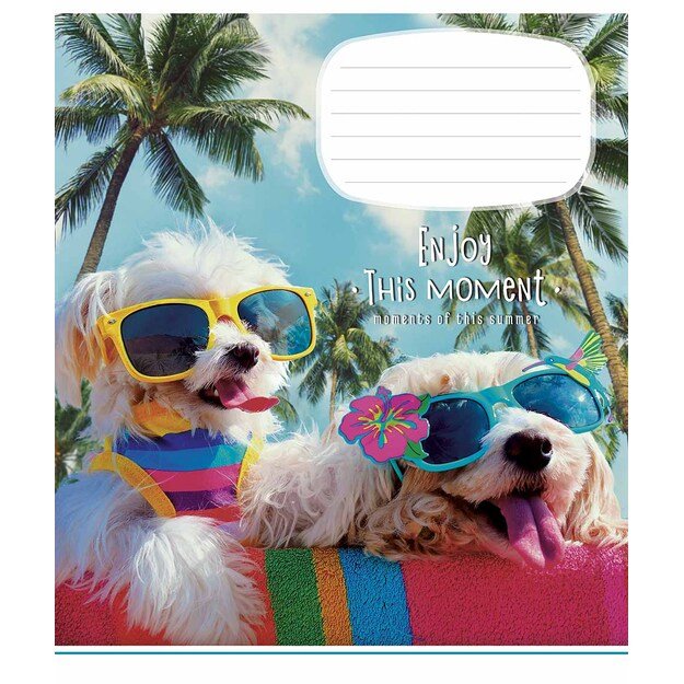 Sąsiuvinis Schoolboy, A5, 12 lapų, 55 gsm, langeliais 2