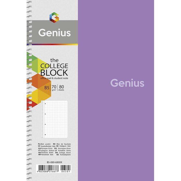 Sąsiuvinis Schoolboy, B5, 80 lapų, 70 gsm, langeliais 3