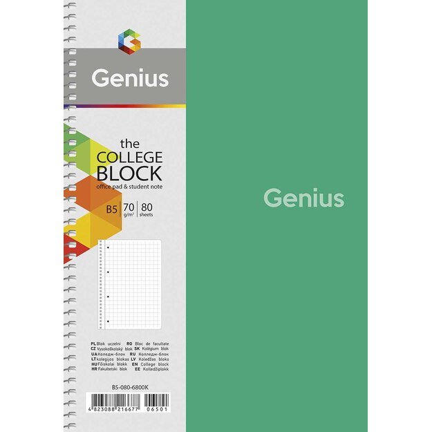 Sąsiuvinis Schoolboy, B5, 80 lapų, 70 gsm, langeliais 2