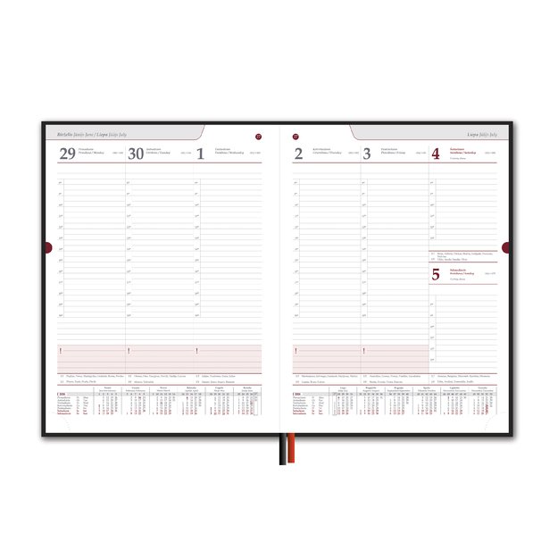 Kalendorius STANDARD 2026, PVC, A4, mėlyna (Baltic) 1