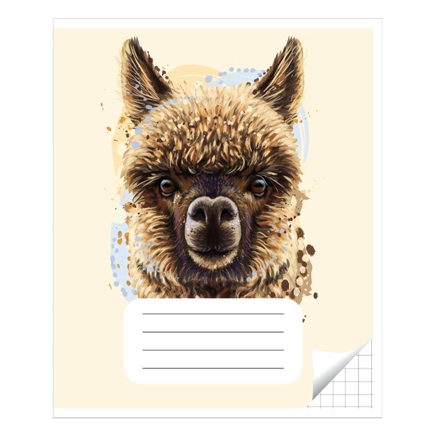 Sąsiuvinis langeliais 12 lapų. Vidinių lapų gramatūra – 90 g/m2.