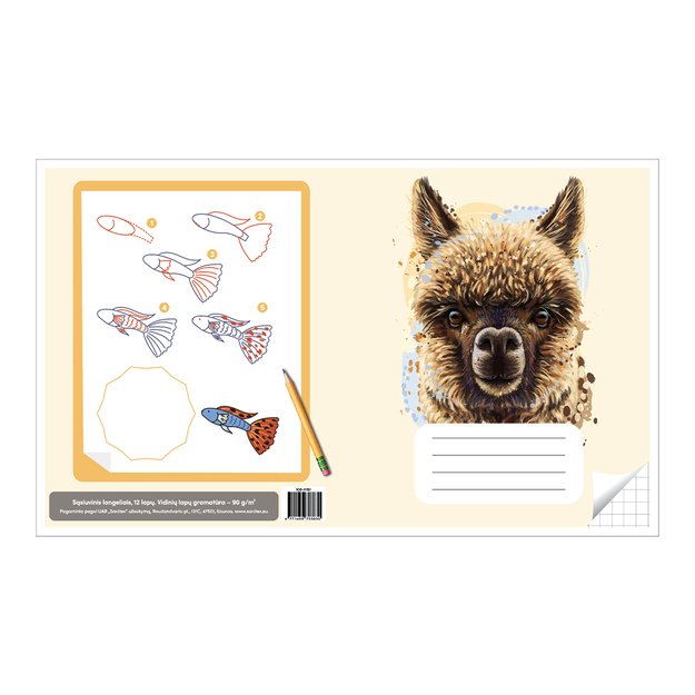 Sąsiuvinis langeliais 12 lapų. Vidinių lapų gramatūra – 90 g/m2. 1