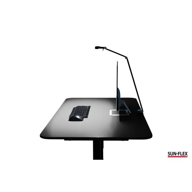 Stalinis šviestuvas SUN-FLEX®SCREENLITE, ekranui apšviesti, juodas 3