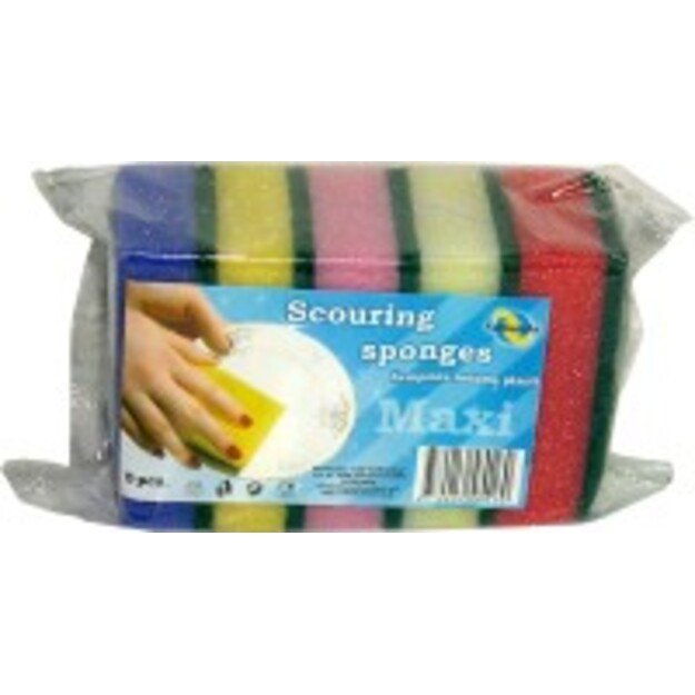 Kempinė - šveistukas PROFI, 9,5 x 6,5 x H 3,3 cm, 5 vnt