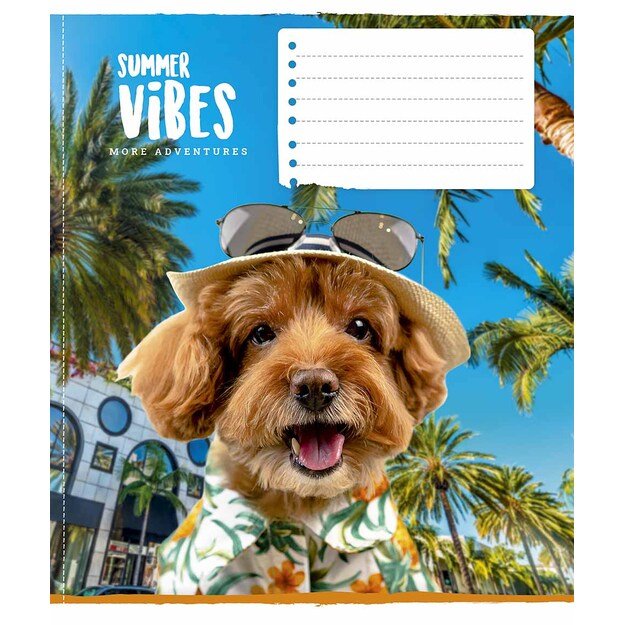 Sąsiuvinis Schoolboy, 12 lapų, 60 gsm, langeliais 3