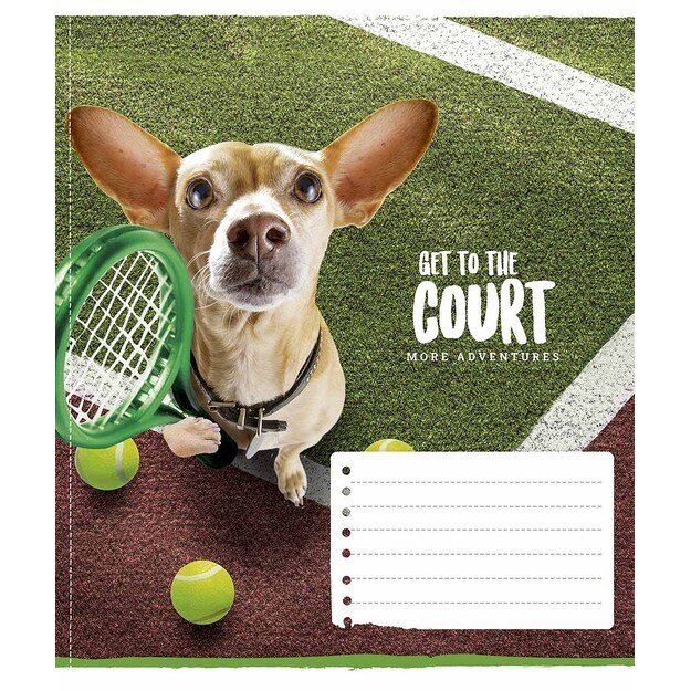 Sąsiuvinis Schoolboy, 12 lapų, 60 gsm, langeliais 2