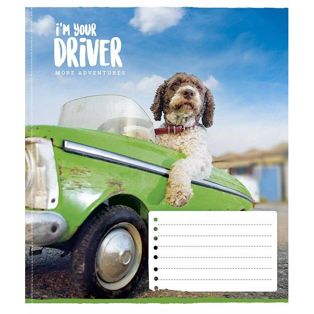 Sąsiuvinis Schoolboy, 12 lapų, 60 gsm, langeliais 1