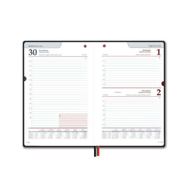 Kalendorius PREMIER PLUS 2026, PU, A5, turkio LT 1