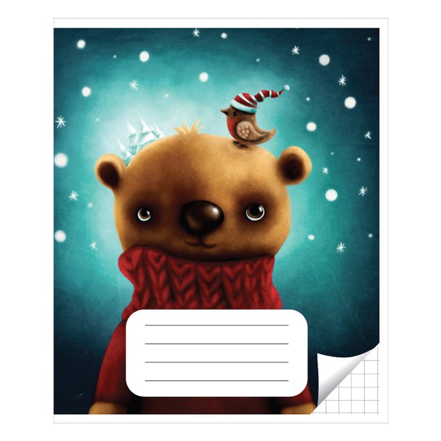 Sąsiuvinis langeliais 12 lapų. Vidinių lapų gramatūra – 90 g/m2.