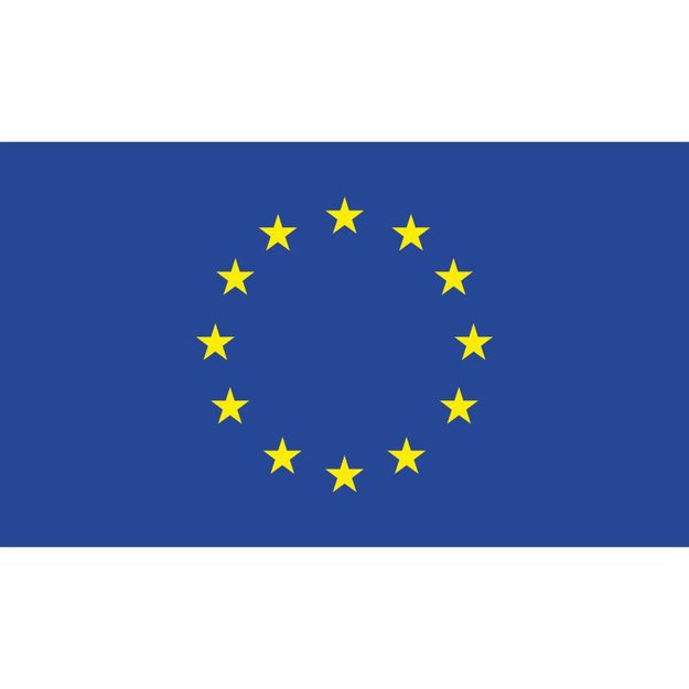 Europos sąjungos vėliava, 100 x 150 cm.