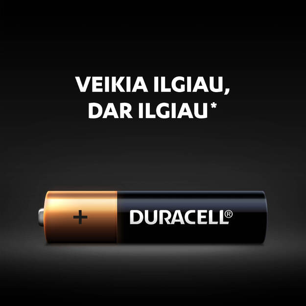 Baterijos DURACELL AAA, LR03, 2vnt 2