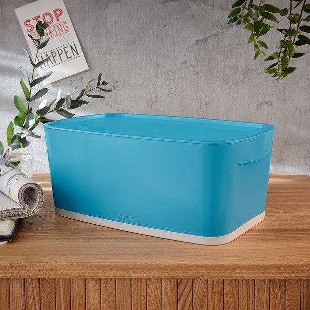 Daiktadėžė Cosy L:MyBox su dangteliu, maža, mėlynos sp.. 2