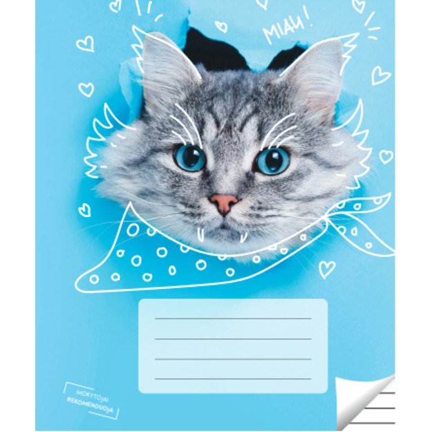 Sąsiuvinis linijomis, 3-4 klasei, 12 lapų. Vidinių lapų gramatūra – 90 g/m2. Su taisyklėmis ir žaidimais.