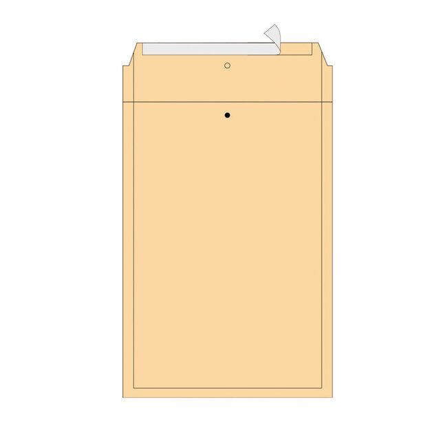 Vokai siuntiniams AirPro, I19, 300 x 445 mm, rudos spalvos