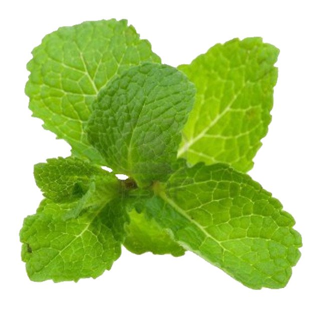 Mėtos, I klasė, kg NTP