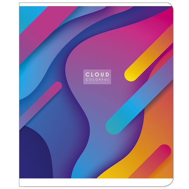 Sąsiuvinis Schoolboy, 48 lapų, langeliais, B5, 70 gsm 1