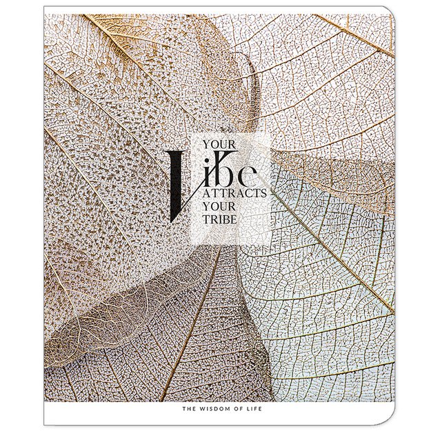 Sąsiuvinis Schoolboy, 48 lapų, langeliais, B5, 70 gsm 5