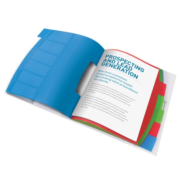 Aplankas dokumentams ESSELTE VIVIDA, PP, su skiriamaisiais lapais 1