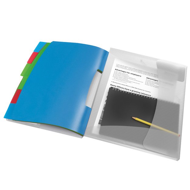 Aplankas dokumentams ESSELTE VIVIDA, PP, su skiriamaisiais lapais 2