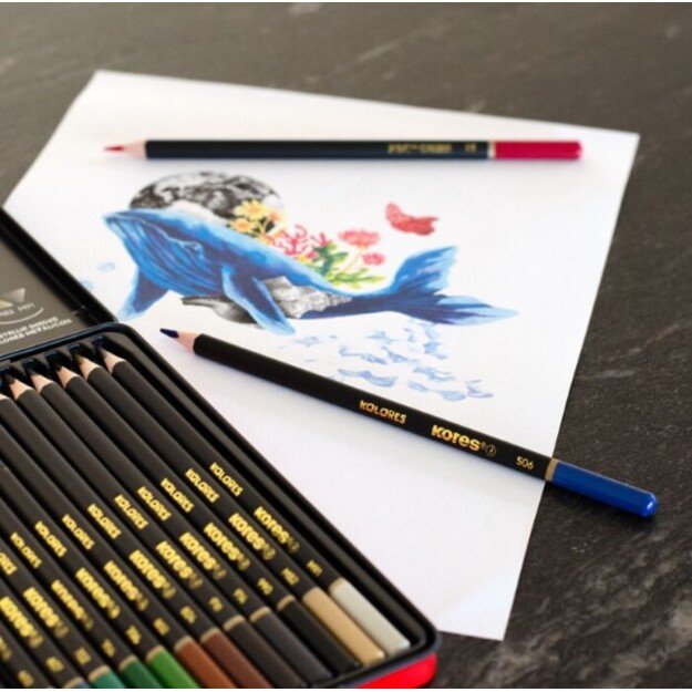 Spalvotų pieštukų rinkinys KORES KOLORES, metalinėje dežutėje, 50 vnt. 3