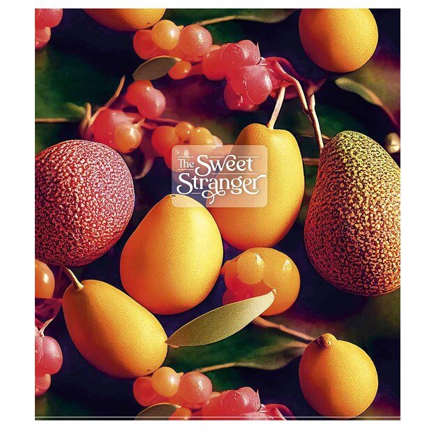 Sąsiuvinis, 48 lapų, 60 gsm, langeliais, UV lakas 3