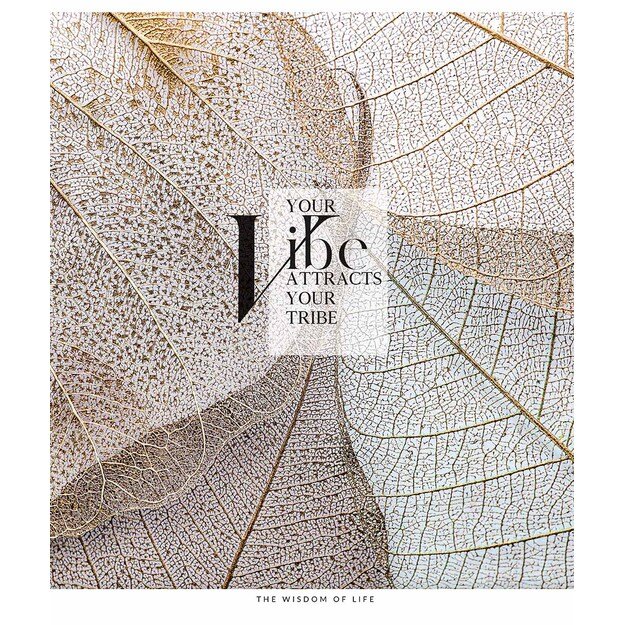 Sąsiuvinis Schoolboy, 80 lapų, langeliais, B5, 70 gsm 5