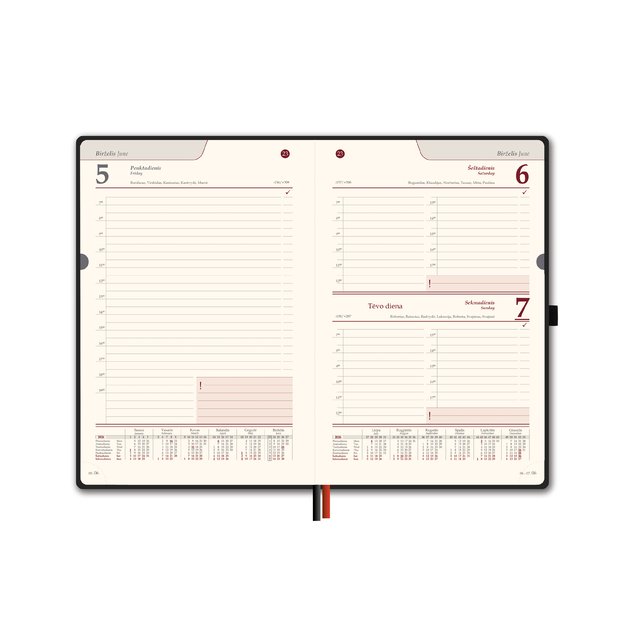 Kalendorius AMBASSADOR BLACK EDITION, 2026, PU, A5, ruda 1